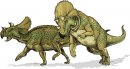 cartoni_animati/dinosauri/avaceratops.jpg