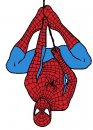 cartoni_animati/spiderman_uomo_ragno/uomo_ragno_03.jpg