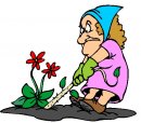 casa/giardino/clipart_giardino_07.jpg