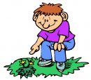 casa/giardino/clipart_giardino_09.jpg