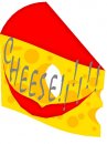 cibo/formaggio/formaggio1.jpg