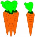 cibo/verdura/CARROTS.jpg