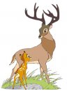 disney/bambi/clipbambiprince2.jpg