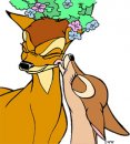 disney/bambi/clipfaline2.jpg