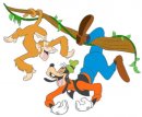 disney/pippo_goofy/pippo21.jpg