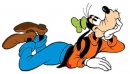 disney/pippo_goofy/pippo57.jpg