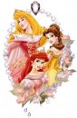 disney/principesse_disney/principesse_disney01.jpg