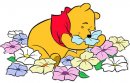 disney/winnie_the_pooh/winnie_pooh308.jpg