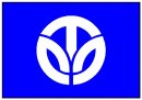 geografia/bandiere/FUKUI.jpg