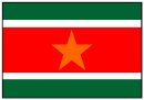 geografia/bandiere/SURINAM.jpg