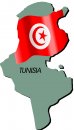 geografia/bandiere/TUNISIA.jpg