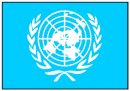 geografia/bandiere/UN.jpg