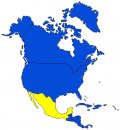 geografia/stati_del_mondo/MEXICOHI.jpg