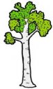 natura/alberi/alberi06.jpg