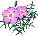 natura/fiori/clipart_fiori_c01.jpg