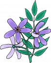 natura/fiori/clipart_fiori_c02.jpg