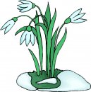 natura/fiori/clipart_fiori_c05.jpg