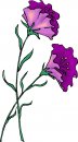 natura/fiori/clipart_fiori_c06.jpg