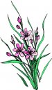 natura/fiori/clipart_fiori_c09.jpg