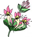 natura/fiori/clipart_fiori_c101.jpg