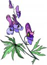 natura/fiori/clipart_fiori_c102.jpg