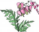 natura/fiori/clipart_fiori_c103.jpg