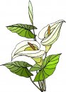 natura/fiori/clipart_fiori_c106.jpg