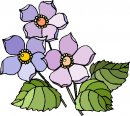 natura/fiori/clipart_fiori_c107.jpg