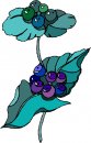 natura/fiori/clipart_fiori_c108.jpg