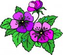 natura/fiori/clipart_fiori_c11.jpg