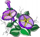 natura/fiori/clipart_fiori_c111.jpg