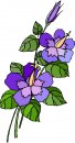 natura/fiori/clipart_fiori_c112.jpg