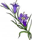 natura/fiori/clipart_fiori_c117.jpg