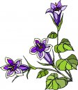 natura/fiori/clipart_fiori_c119.jpg