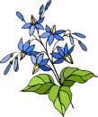 natura/fiori/clipart_fiori_c124.jpg