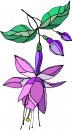 natura/fiori/clipart_fiori_c126.jpg