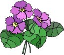 natura/fiori/clipart_fiori_c127.jpg