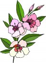 natura/fiori/clipart_fiori_c130.jpg