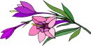 natura/fiori/clipart_fiori_c131.jpg