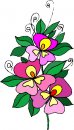 natura/fiori/clipart_fiori_c135.jpg