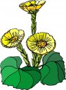 natura/fiori/clipart_fiori_c138.jpg