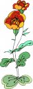 natura/fiori/clipart_fiori_c145.jpg