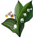 natura/fiori/clipart_fiori_c146.jpg