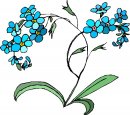 natura/fiori/clipart_fiori_c148.jpg