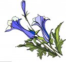 natura/fiori/clipart_fiori_c150.jpg