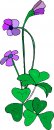 natura/fiori/clipart_fiori_c154.jpg