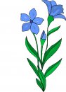 natura/fiori/clipart_fiori_c155.jpg