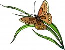 natura/fiori/clipart_fiori_c159.jpg