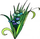 natura/fiori/clipart_fiori_c161.jpg