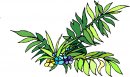 natura/fiori/clipart_fiori_c162.jpg